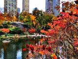 SPECIAL – 4 hours private tour
